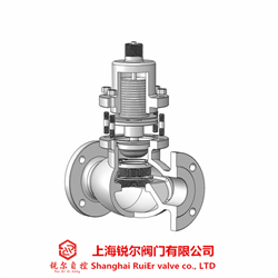 ZDLP綯ڷ3.jpg